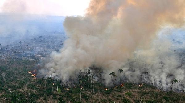 Incêndio na Amazônia brasileira registrado em 2024