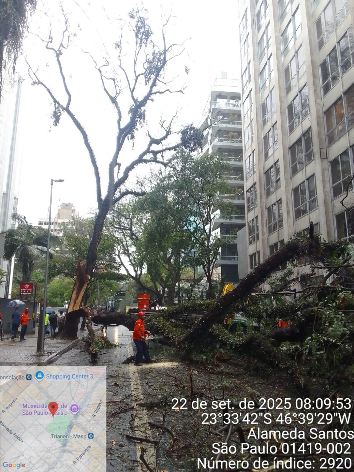 Sai fogo, entra chuva: Defesa Civil de SP aguarda tempestades severas
