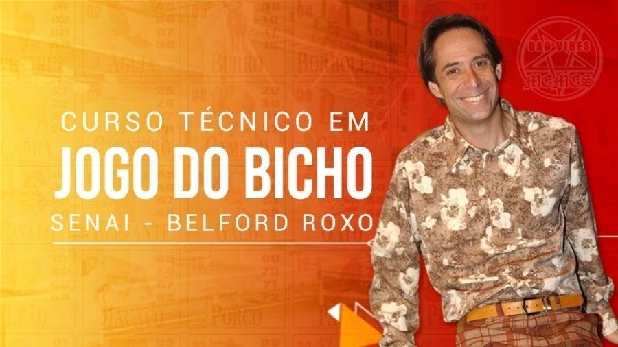 Jogo do Bicho - Como funciona este jogo que rende milhões - O Regional