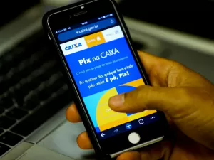 Pix tem mais de 200 milhões de transações diárias e bate recorde, diz BC