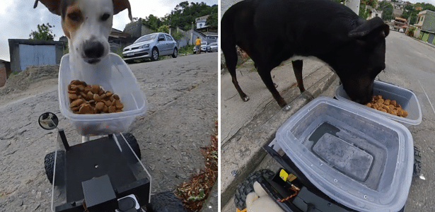Olha o au-food! Ele criou carrinho-robô para matar a fome de cães nas ruas
