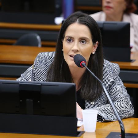 Deputada Amália Barros é vice-presidente do PL Mulher Nacional - Vinicius Loures/Câmara dos Deputados