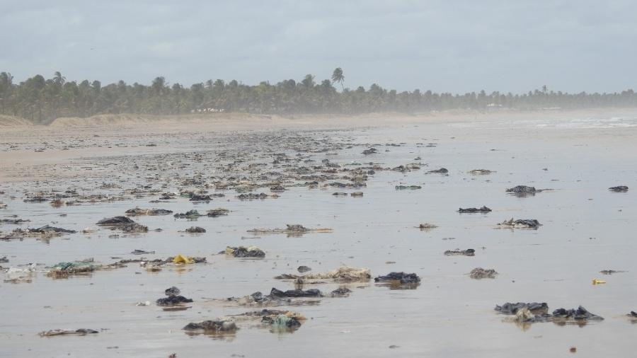 Manchas de óleo na praia de Feliz Deserto, em Alagoas - Raquel Grison/Laboratório de Morfologia Sistemática e Ecologia de Aves do Museu de História Natural da Ufal