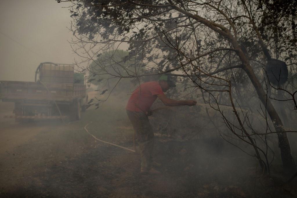 Images show fire in the Pantanal region, devastated by the fires that occurred in September 2020 - Mauro Pimentel / AFP