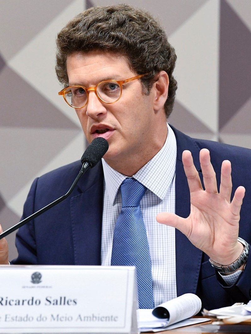 Ricardo Salles deve ser retirado imediatamente do Ministério de Meio  Ambiente - Greenpeace Brasil