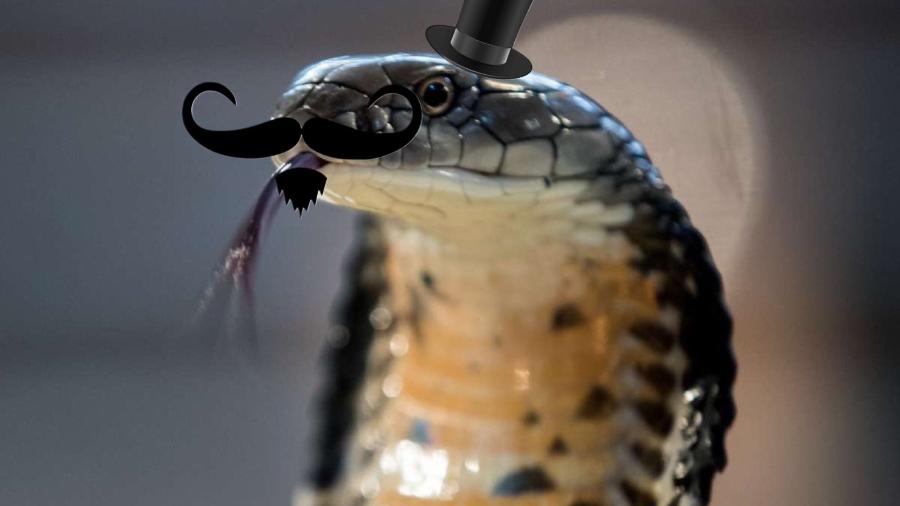 Em seus perfis na rede, cobra é retratada usando bigode e cartola - Reprodução/Twitter