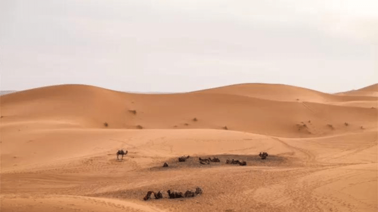 Saharan crossing - GETTY IMAGES - GETTY IMAGES