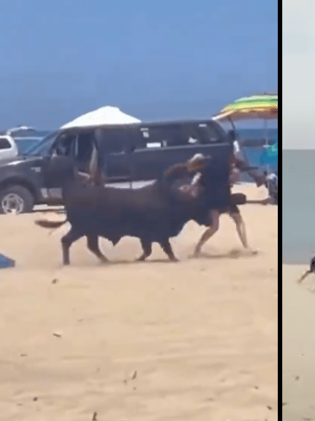 Touro atacou pessoas em praia no México