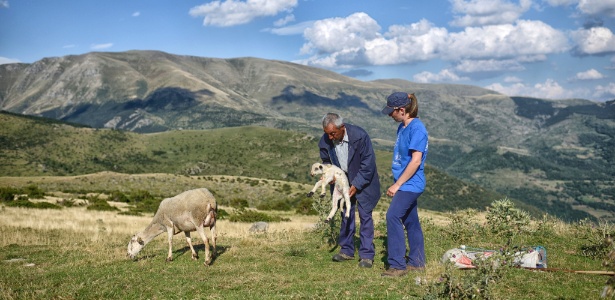 Nos últimos quatro meses, Josep Jordana, que não tem filhos, está ensinando criação de ovelhas a Laura Madrid, 28 - Samuel Aranda/The New York Times
