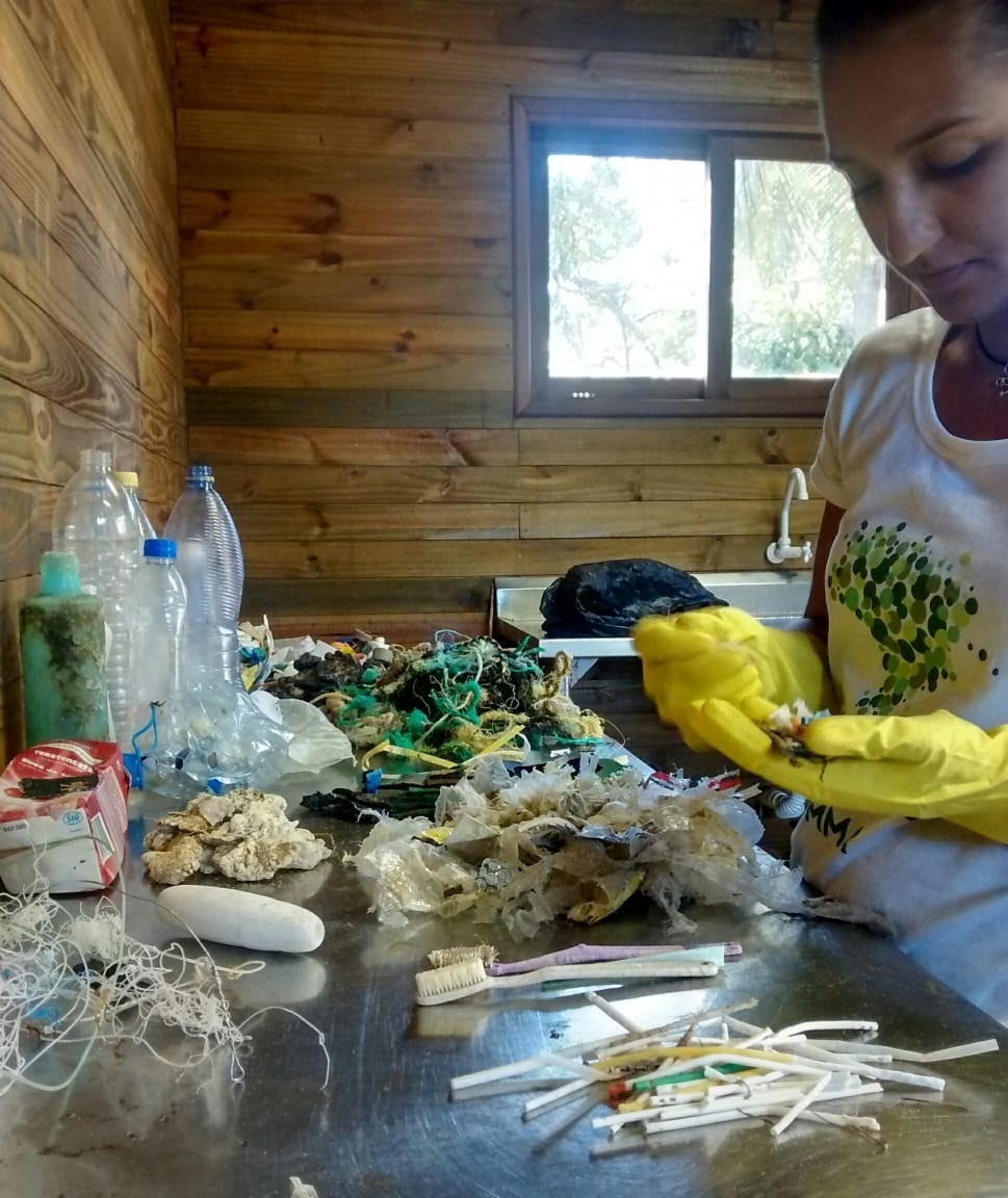 Ana Carolina Grillo Monteiro