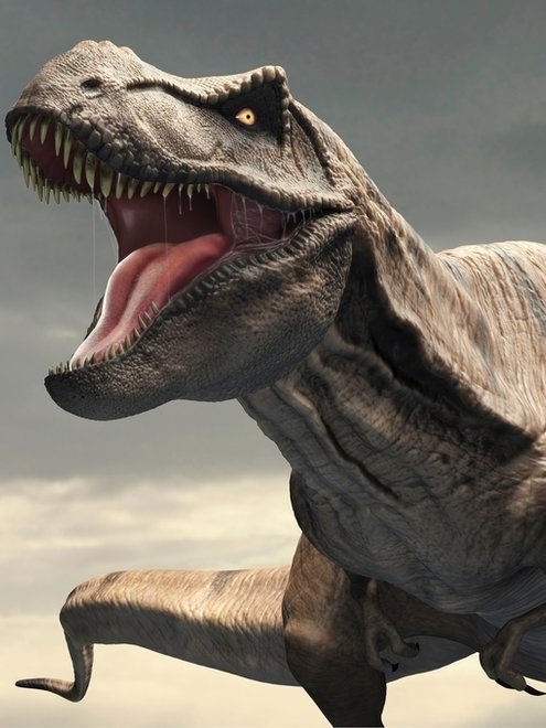 Aera da Infância: Dinossauros