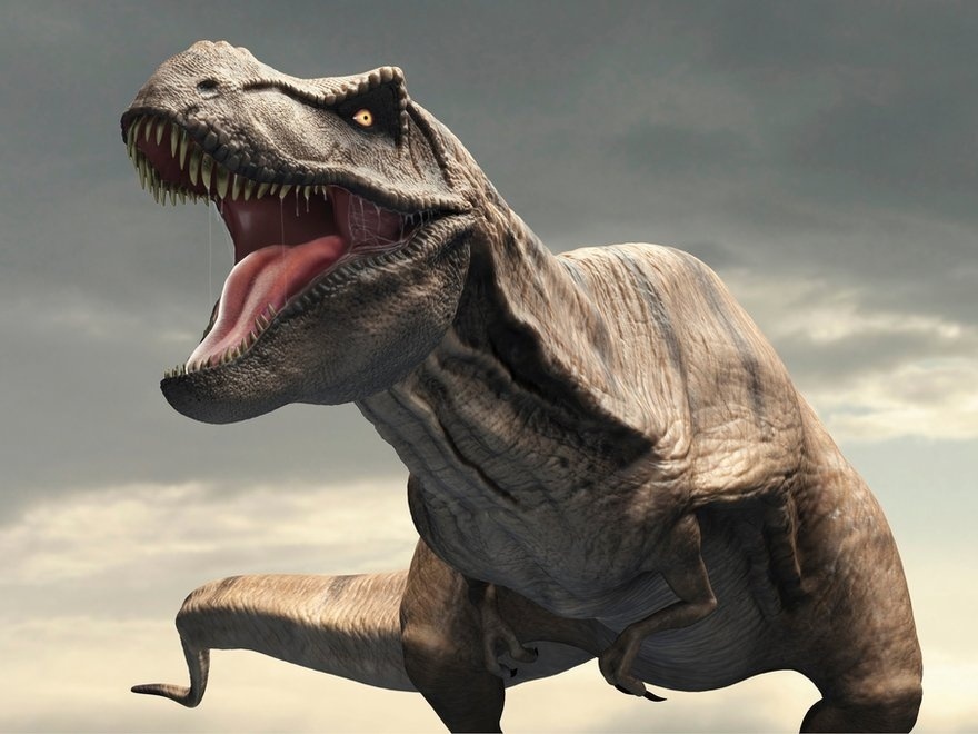 Tiranossauro Rex Rex Rex Dos Terópodes Mais Grandes Dinossauro