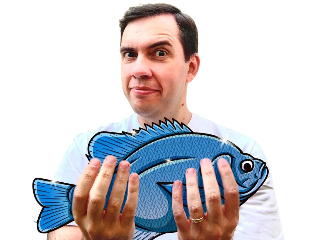 Merluza ou McFish?