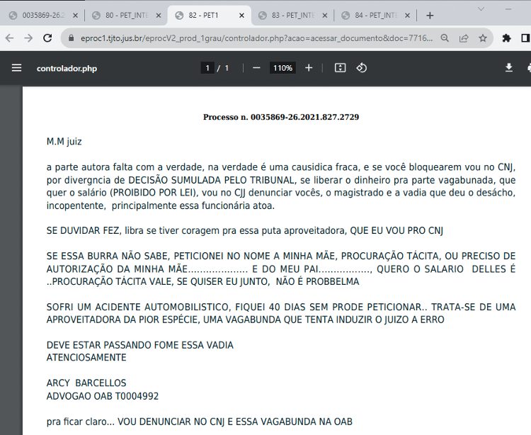 Captura de tela do e-mail onde o advogado xinga a autora do pedido, sua defesa e uma servidora da Justiça