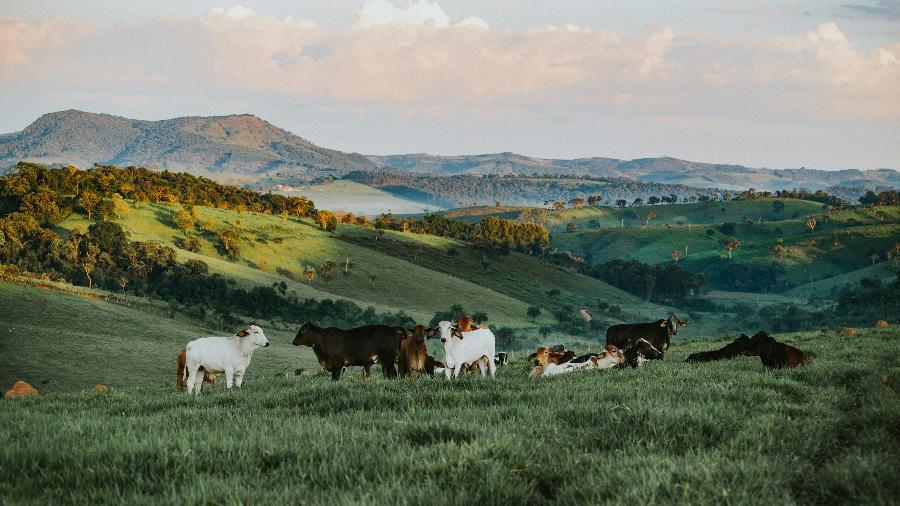 Amanhecer em fazenda em Belo Horizonte (MG)  - Helena Lopes/Unsplash