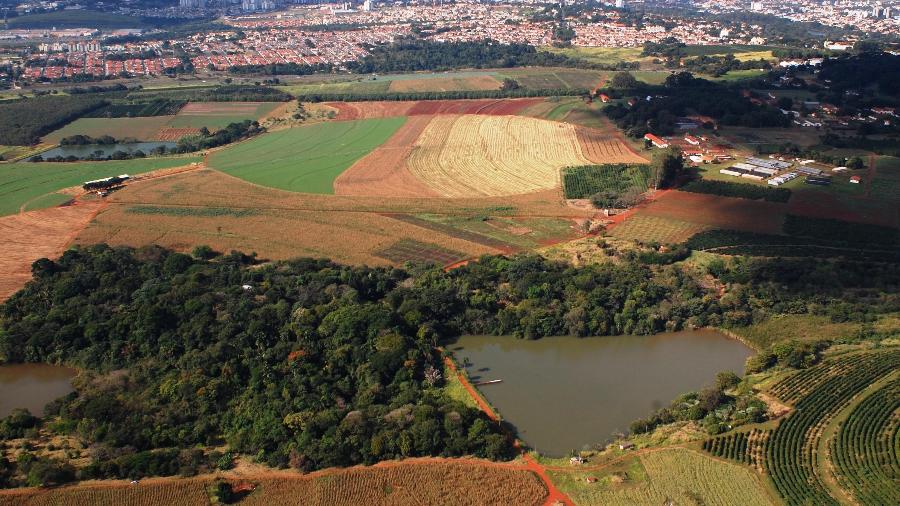 Fazenda Santa Elisa, em Campinas (SP) Fazenda Santa Elisa, em Campinas (SP)