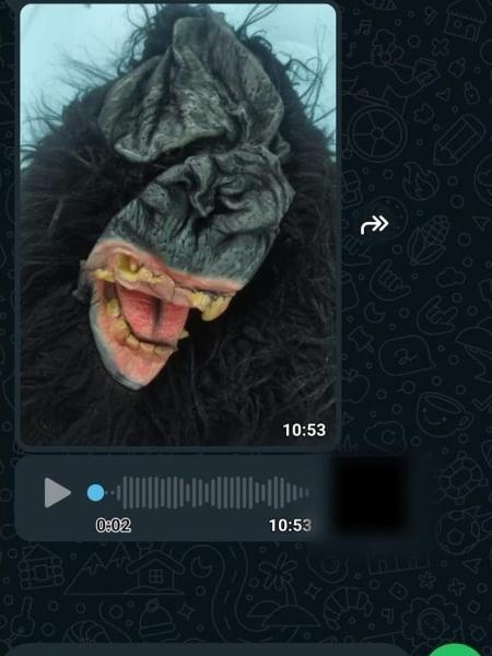 Foto de máscara de macaco foi enviada para criança junto a áudio falando: 'igualzinho a você'