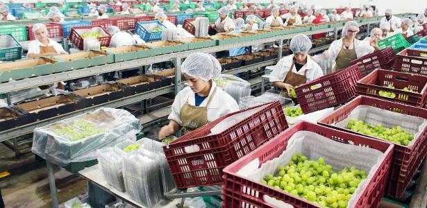 EUA livram frutas, café, aeronaves e mais de 700 fármacos de tarifaço