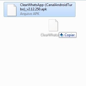 Reprodução Reprodução