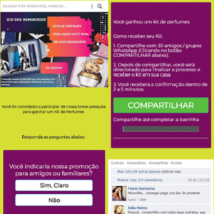 Página traz um questionário e falsos comentários para dar a impressão de veracidade - Reprodução