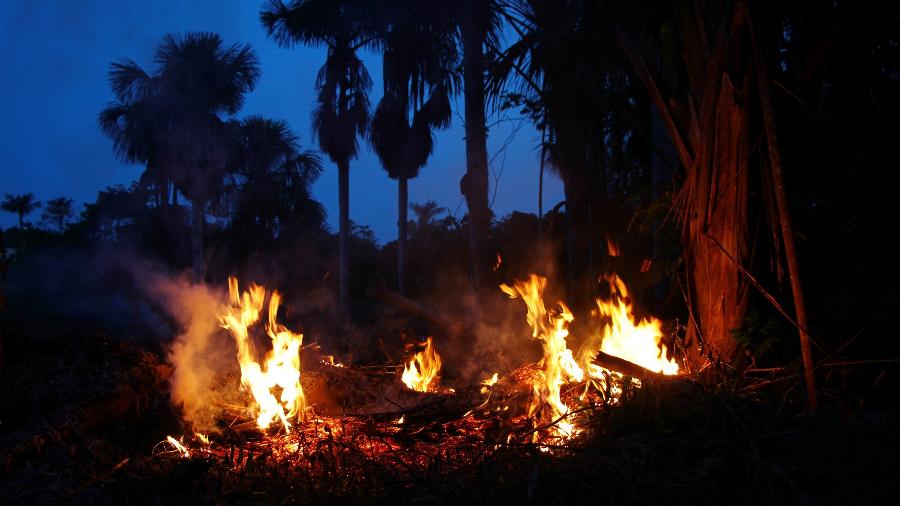 Homem tenta apagar foco de queimada na zona rural do município de Iranduda (AM). A cidade é uma das que estão em estado de emergência na região metropolitana de Manaus - Edmar Barros/Futura Press/Futura Press/Estadão Conteúdo