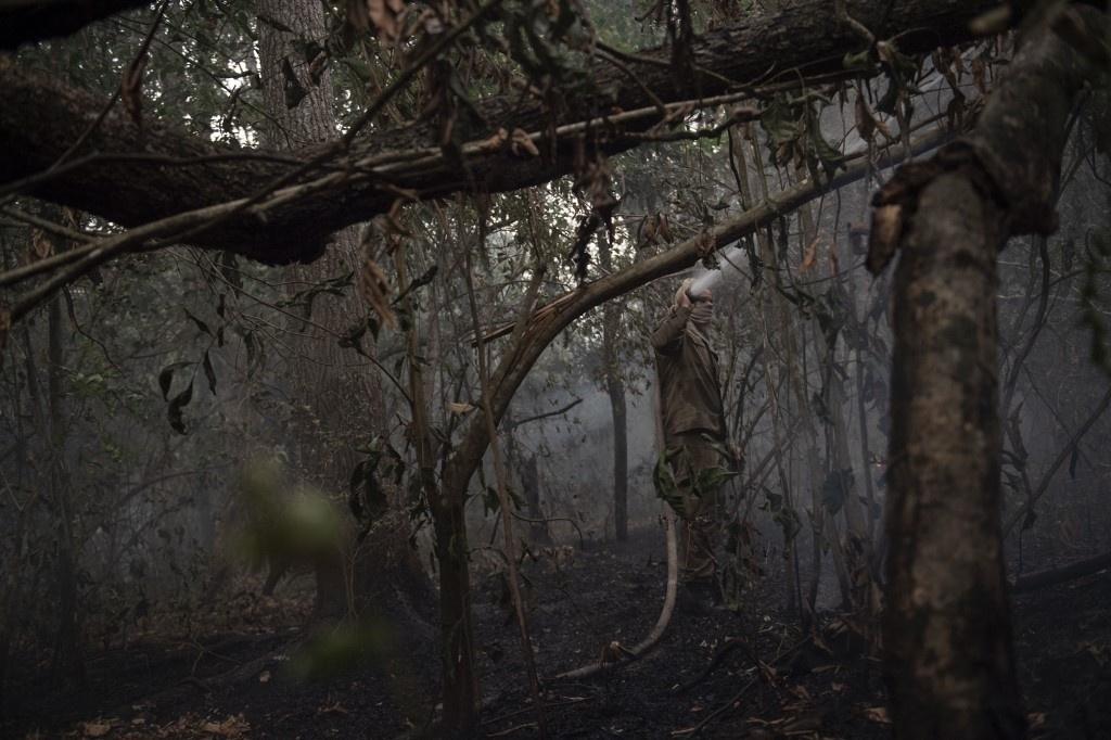 Images show fire in the Pantanal region, devastated by the fires that occurred in September 2020 - Mauro Pimentel / AFP