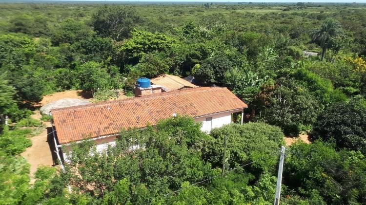 Maison du fermier Vilmar Luiz Lermen entourée d'agroforesterie à Exu, dans la région semi-aride de Pernambuco - Archives personnelles - Archives personnelles