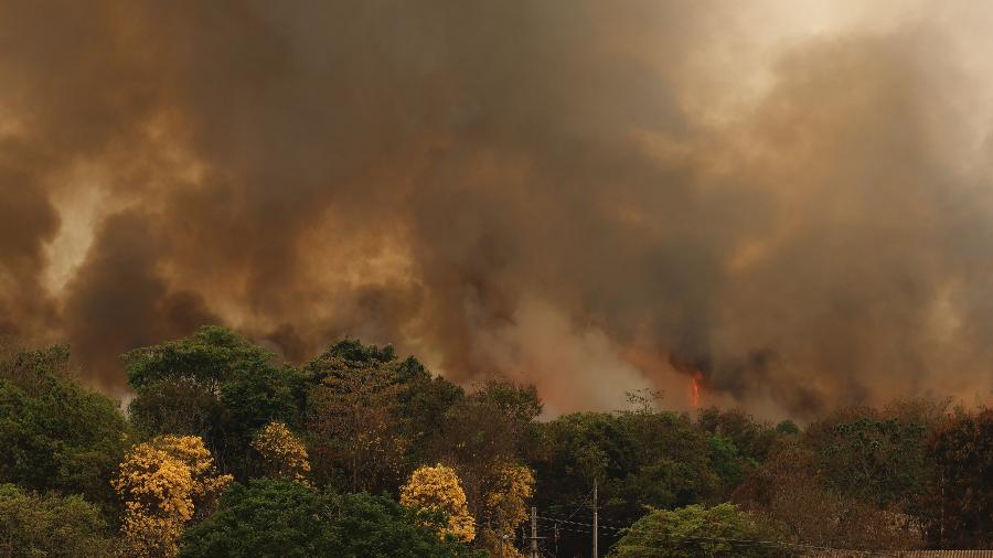 Incêndio de grandes proporções atingiu o Parque Nacional de Brasília - Pedro Ladeira/Folhapress