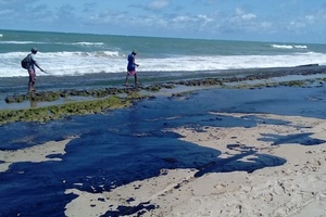 Resultado de imagem para óleo praia rn