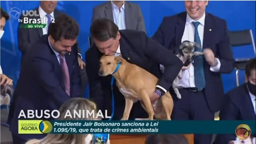 Jair Bolsonaro, presidente que se mostra bastante humano com os animais, sanciona lei em defesa de cães e gatos - Reprodução/Youtube