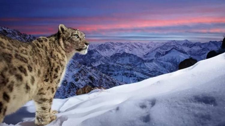 Top of the world - SASCHA FONSECA / NATURE TTL - SASCHA FONSECA / NATURE TTL