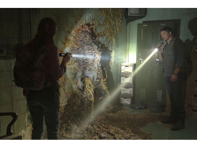 Last of Us: zumbis são inspirados em fungo real que existe no Brasil -  12/04/2020 - UOL TILT