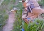 Homem, cavalo e burro morrem após serem atingidos por raio em MT - Reprodução de vídeo
