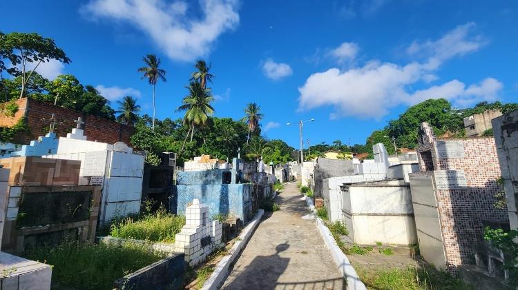 Cemitério em área de risco e sem enterros: famílias em AL buscam reparação