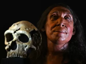 Neandertais x Homo sapiens: como as metáforas mudaram o rumo da evolução