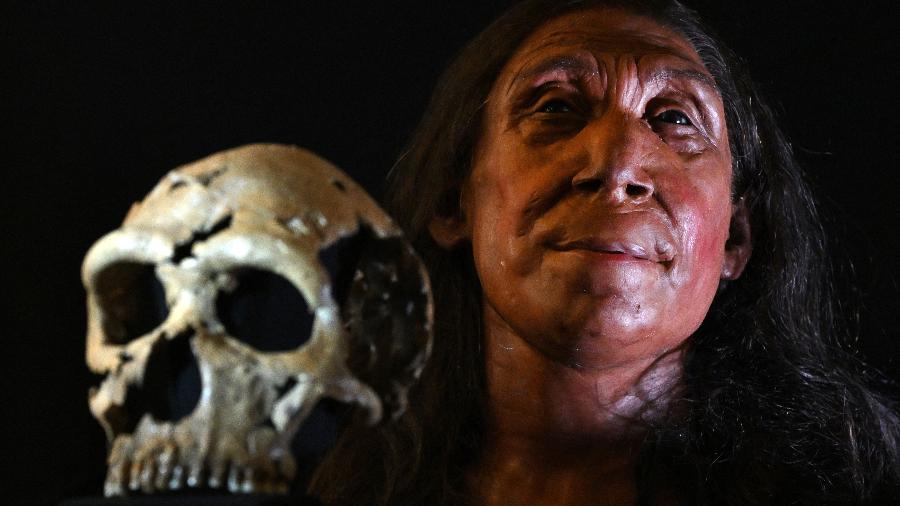 Reconstrução física da cabeça de uma mulher neandertal de 75 mil anos - Justin TALLIS / AFP
