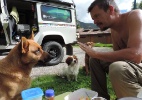 Casal de brasileiros ajuda cachorros de rua em viagem até o Alasca - Divulgação