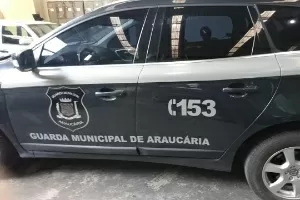 comprar carros em Araucária - PR - Página 6