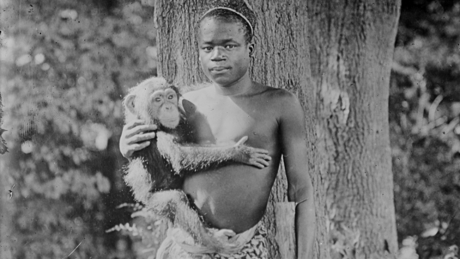 Ota Benga foi sequestrado e levado aos EUA para ser exibido em um zoológico - Biblioteca do Congresso dos EUA