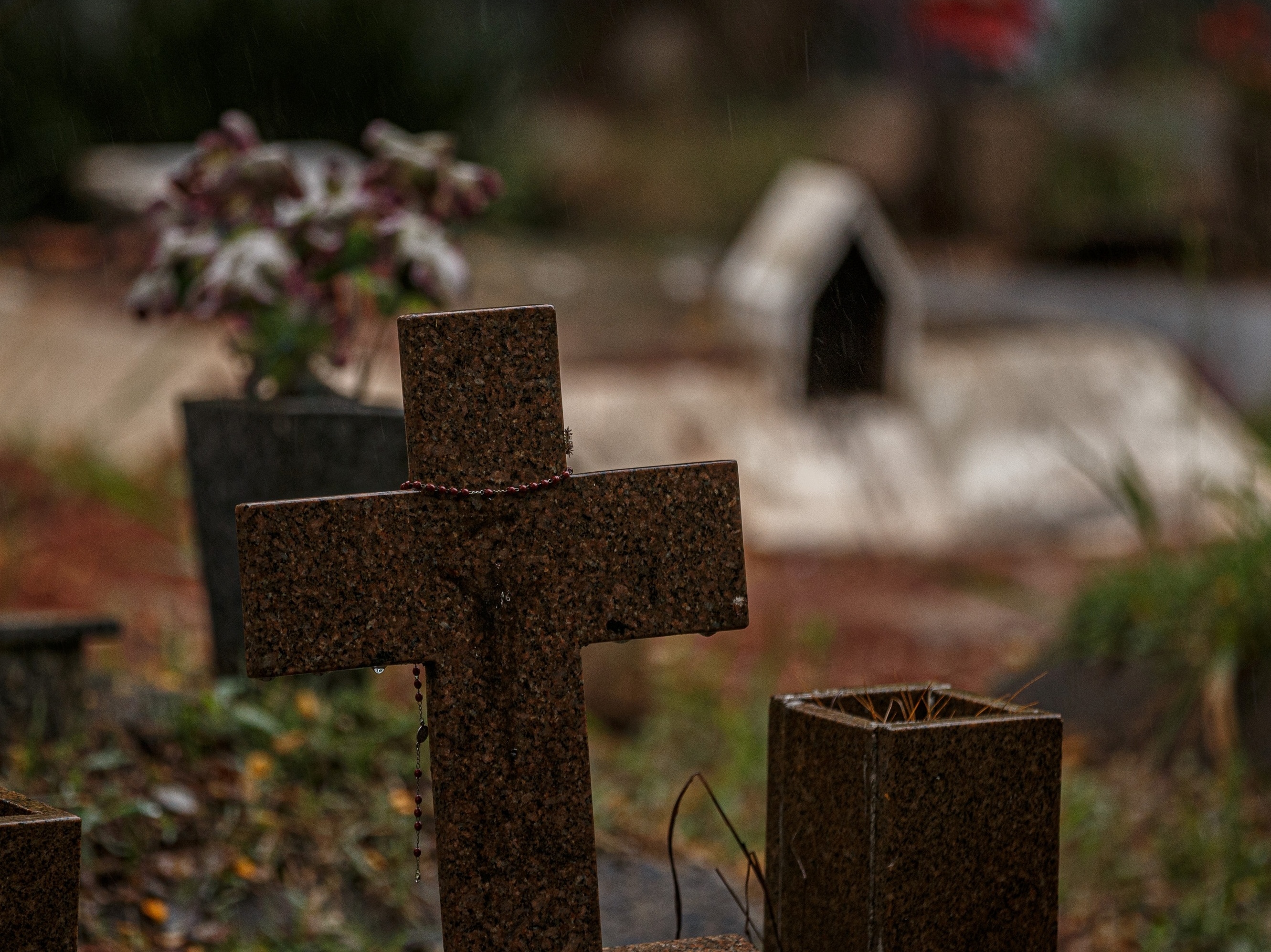 Famílias reconhecem mortos por covid pelo celular; prática é criticada
