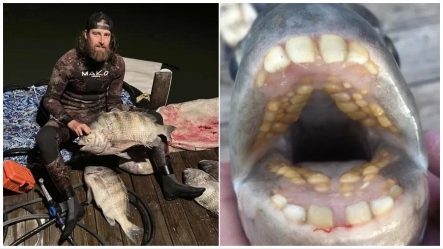 O peixe com "dentes humanos" foi capturado pelo pescador norte-americano Todd Elder - Reprodução