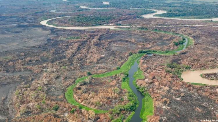 Área degradada após fogo no Pantanal