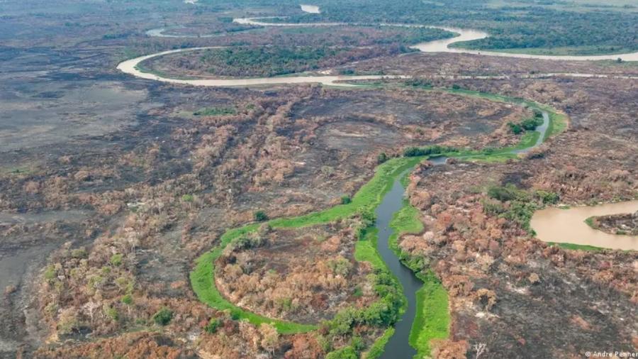 Maior perda de água foi registrada no Pantanal