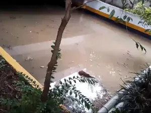 Sabesp culpa imóveis por entupir tubulação e espalhar esgoto na rua Augusta