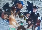 Caipirinha a R$ 5.000: polícia prende suspeitos de golpes em turistas no RJ - DEAT RJ/Reprodução de vídeo