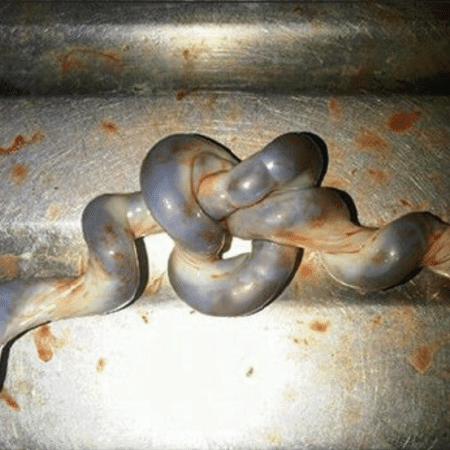 Nó verdadeiro descrito em uma pesquisa científica