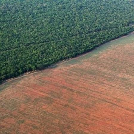 Desmatamento afeta o regime de chuvas e o clima local e no continente como um todo - Paulo Whitaker/Reuters/BBC