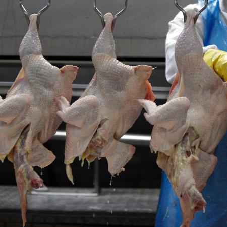 Processamento de carne de frango em Itatinga (SP) - Paulo Whitaker