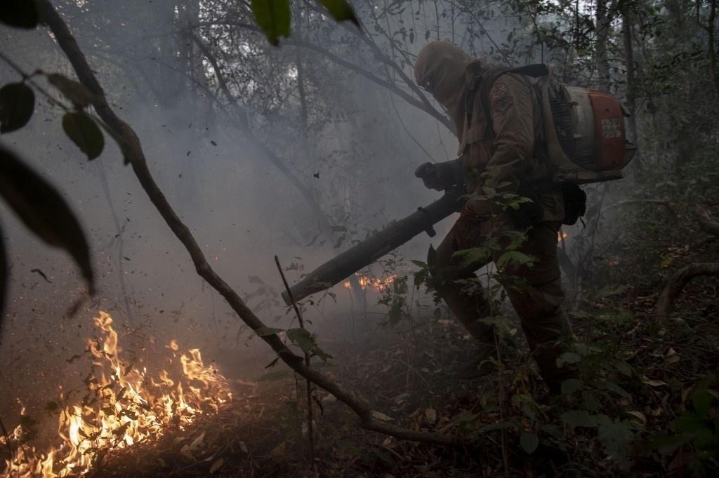 Images show fire in the Pantanal region, devastated by the fires that occurred in September 2020 - Mauro Pimentel / AFP