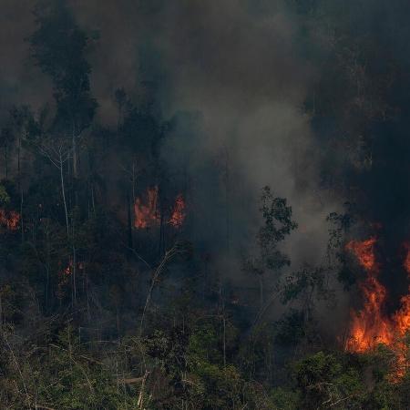 Incêndio florestal em área degradada em processo de desmatamento, em Novo Aripuanã (AM) - Victor Moriyama/Amazônia em Chamas